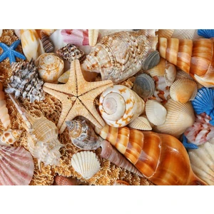 Nova Puzzle Kumsaldan Bana Kalanlar 1000 Parça Puzzle