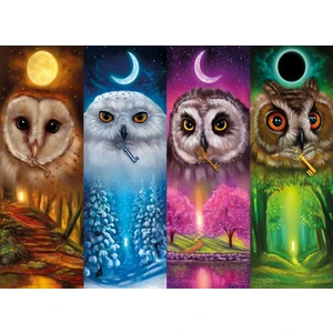 Nova Puzzle Puzzle Dört Mevsim Baykuşlar - 1000 Parça Puzzle