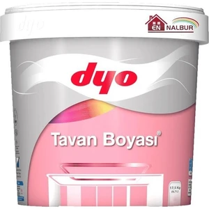 Tavan Boyası