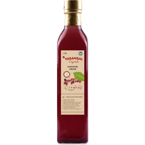 Yaşamsal Organik Organik Karayemiş Sirkesi 500 ml