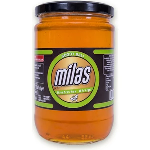 Milas Üreticiler Birliği Söğüt Balı 850 gr