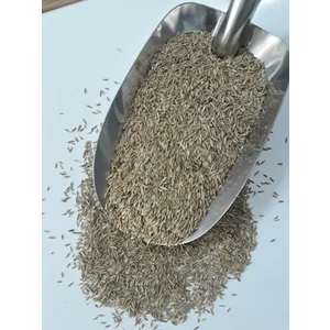 Grass Seed 4'lü Karışım Çim Tohumu