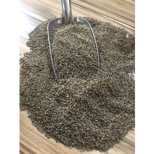 İbk İklim Bahçe Maydanoz Tohumu