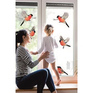 Yılbaşı Kış Kuşları Cam Duvar Sticker Seti