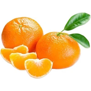 Sebze Meyve Dünyası Mandalina Murkot 1 kg