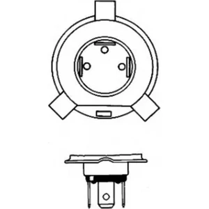 H4 Diamond Vision Tam Beyaz Işık Ampul Seti 12342 EAN-8727900354454