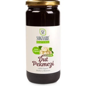 Sognare Natura Dut Pekmezi %100 Organik 625 gr