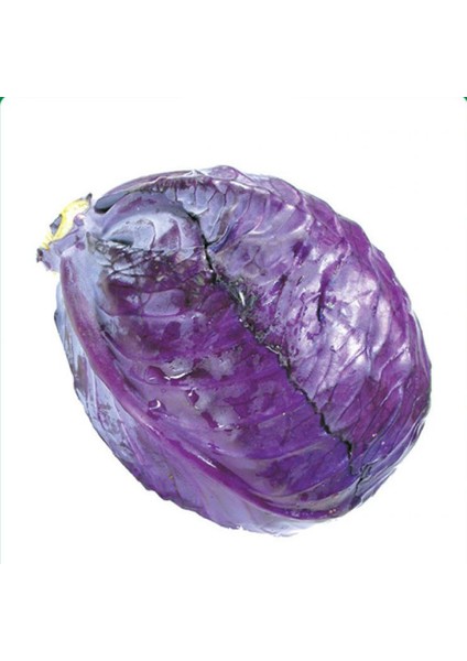 Kırmızı Lahana Tohumu Yerli 5 Gram