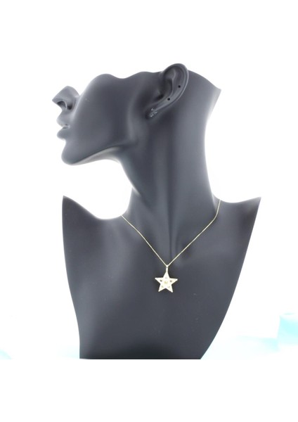 14K Altın Yıldız Kolye W4N28192Z