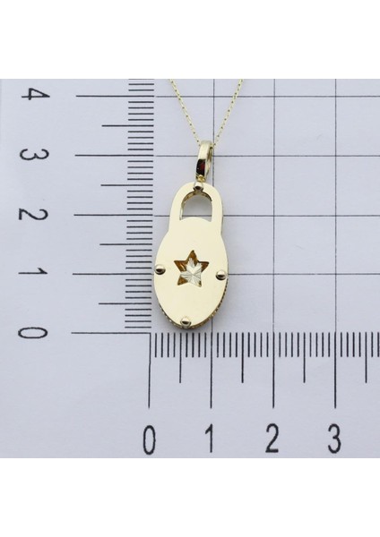 14K Altın Oval Yıldız Kilit Kolye W4N28193Z fırsatları