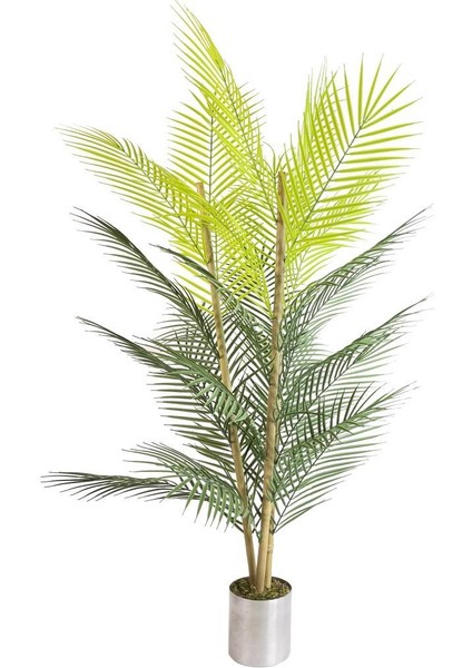 Yapa Areka Ağacı 27 Yaprak 115 cm