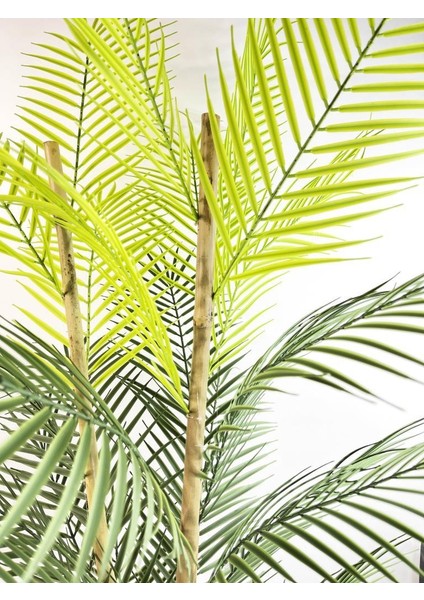 Yapa Areka Ağacı 27 Yaprak 115 cm