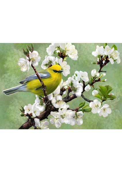 1000 Parça Baharın Habercisi Puzzle