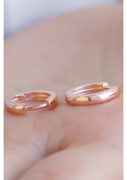 Gümüş Orta Boy Halka Küpe fiyatları