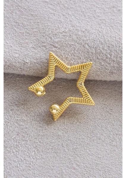 Gümüş Yıldız Kıkırdak Küpe fiyatları