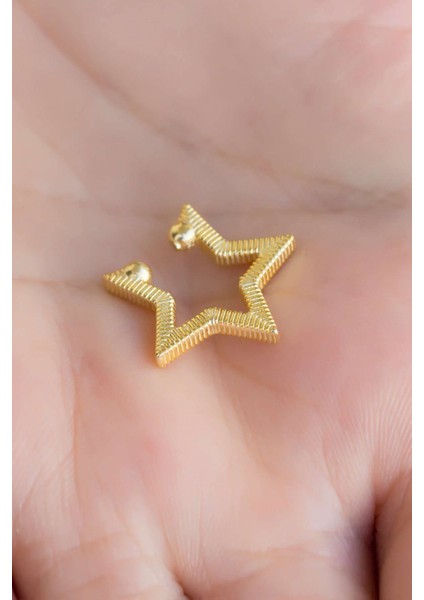 Gümüş Yıldız Kıkırdak Küpe modelleri