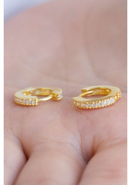 Gümüş Taşlı Küçük Boy Halka Küpe fiyatları