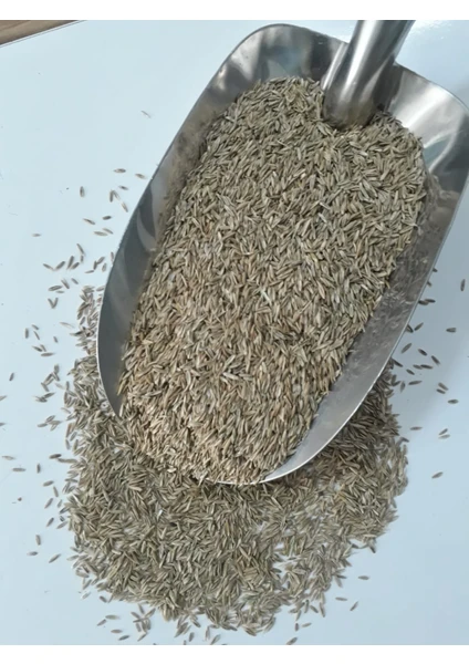 Grass Seed 4'lü Karışım Çim Tohumu