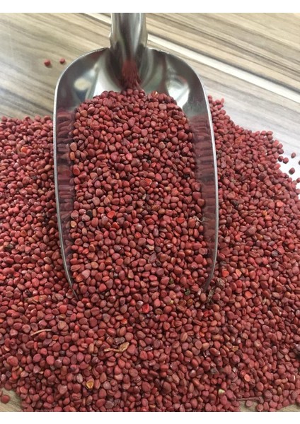 Fındık Turp Tohumu
