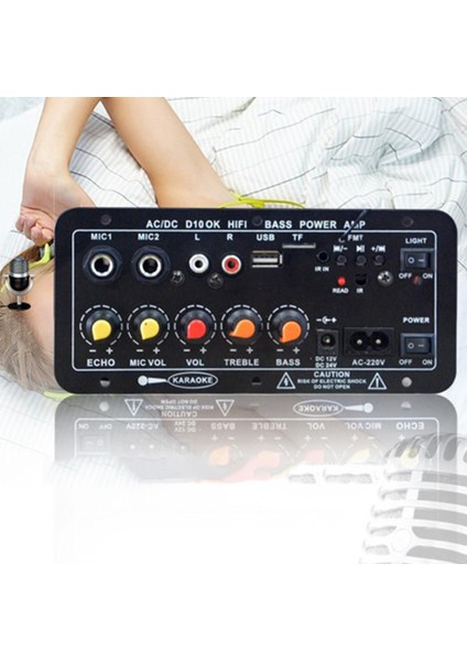 220 V / 12 V / 24 V Araba Mono Stereo Amplifikatör (Yurt Dışından)