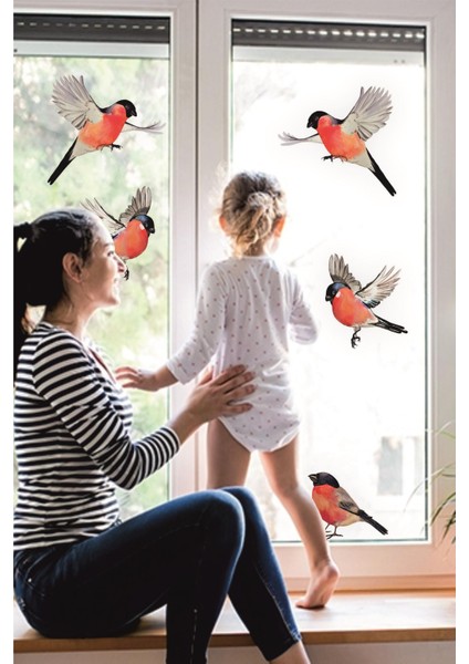 Yılbaşı Kış Kuşları Cam Duvar Sticker Seti