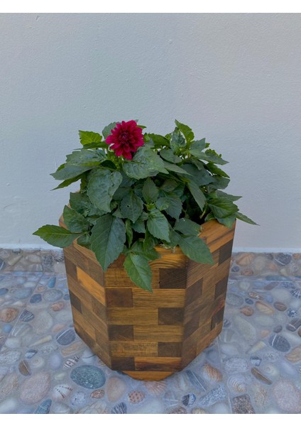 Ahşap Saksı 30x30x30