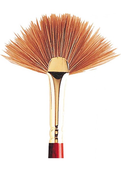 : Sceptre Gold : 808 Serisi Kısa Sap Yelpaze Fırça No : 4