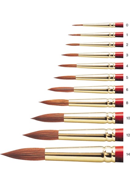 Winsor & Newton : Sceptre Gold : 404 Serisi Uzun Sap Yuvarlak Fırça No : 8