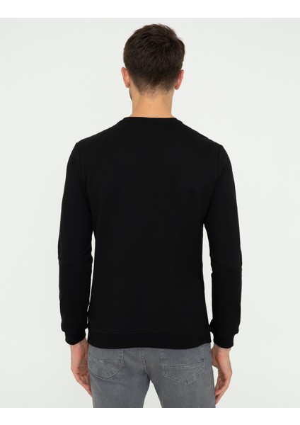 Erkek Siyah Sweatshirt 50249355-VR046