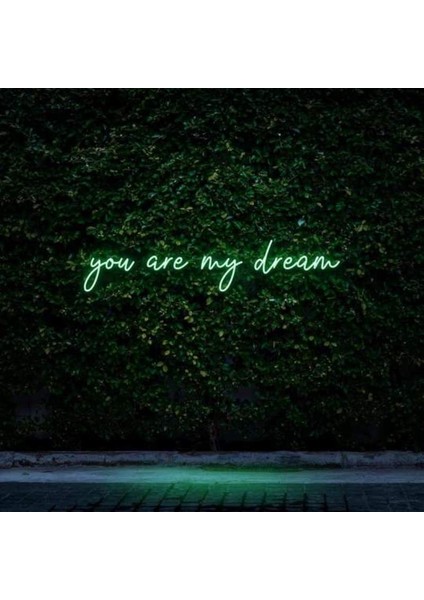 You Are My Dream Neon Duvar Yazısı Dekoratif Duvar Aydinlatmasi Gece Lambası