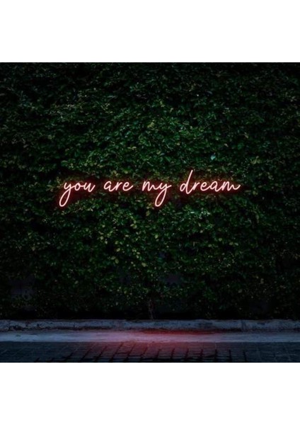 You Are My Dream Neon Duvar Yazısı Dekoratif Duvar Aydinlatmasi Gece Lambası