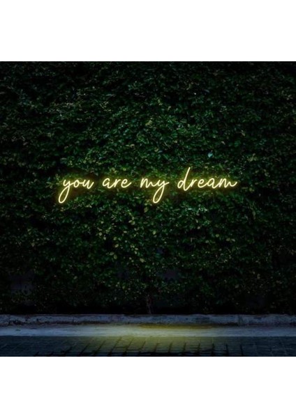 You Are My Dream Neon Duvar Yazısı Dekoratif Duvar Aydinlatmasi Gece Lambası