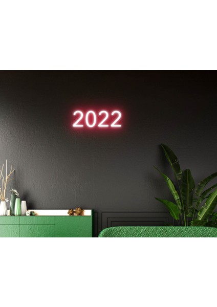 2022 Neon LED