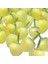 Biber Tohumu Yerli Biber-Misket 5 Gram 1