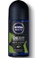 Men Deep Dimension Amazonia Deodorant Roll-On 50 ml Parfüm 1