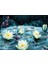 Puzzle 1000 Parça Yıldızlı Gecede Lotus Çiçekleri 2