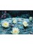 Puzzle 1000 Parça Yıldızlı Gecede Lotus Çiçekleri 3