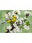 1000 Parça Baharın Habercisi Puzzle 1