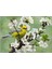 1000 Parça Baharın Habercisi Puzzle 3