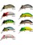 Strıke Pro EG-097 A Warted Toad 45 Serisi Suni Yem - A17S 2