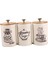 3 Vintage Tarzı Çay Kahve Şeker Teneke Kutu Saklama Kavanozları Kapaklı (Yurt Dışından) 1