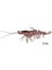 3D Shrimp Weedless 9 cm 7 gr Suni Yem Pink 1