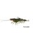3D Shrimp Weedless 9 cm 7 gr Suni Yem Avocado 1