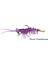 3D Shrimp Rtf 12.5 cm 14 gr 2 Adet Plum Chartreuse 1