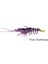 3D Shrimp Weedless 9 cm 7 gr Suni Yem Plum Chartreuse 1