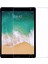 Apple iPad Mini 4.nesil (2015) 7.9 Inç (A1538/A1550) Nano Teknoloji Ekran Koruyucu Nano Cam 1