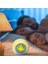 LED 7 Renk Değişen Dijital Çalar Saat (Yurt Dışından) 2