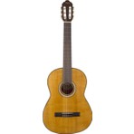 Valencia VC404 Klasik Gitar (Kılıf Hediyeli)