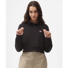 Dickies Oakport Cropped Hoodie W