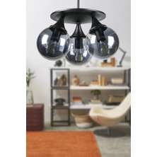 Begüsa Kuvars 3.lü Siyah-Füme Glop Camlı Avize